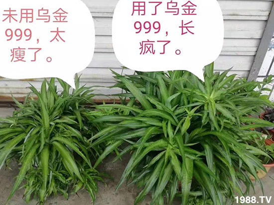 ���½���ɫ���B(t��i)��ȫ�w�T����ף�������ѣ�����옷���f��������ҹҹ�����X��