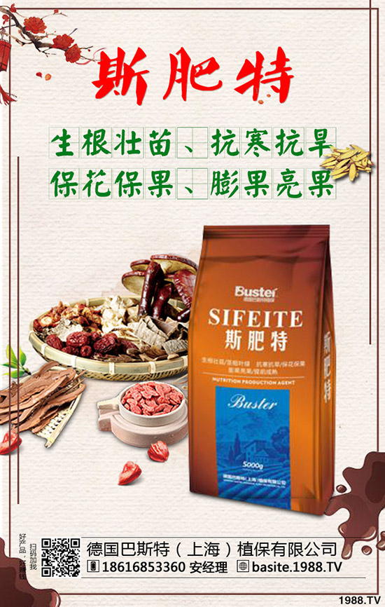 2020-1-17���؃r��С���»����������������߄��A�y��