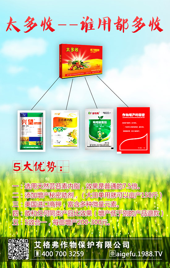 ���۵ķNֲҪ������Щ�����۵ķNֲҪ�c(di��n)��