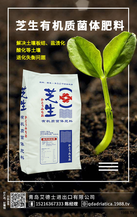 ��������Щ�I�B(y��ng)�r(ji��)ֵ�����ҵĹ�Ч�c������ʲô������xُ��