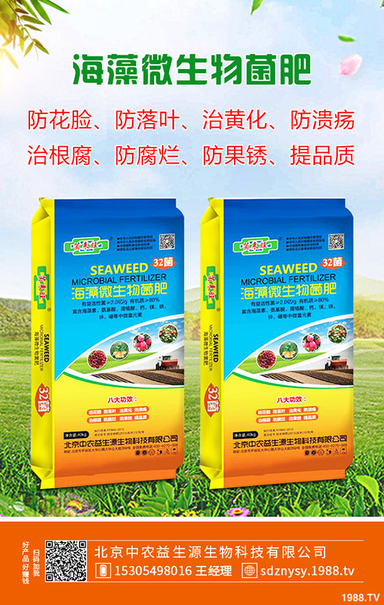     2020�����Nֲ�R������g(sh��)Ҫ�c(di��n)����δ�ѿ��ע�����(xi��ng)����Щ��