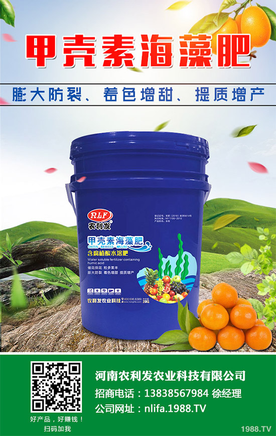 �t���c�uѪ������Щ�^(q��)�e�����߹�Ч�÷��cʹ�ý���