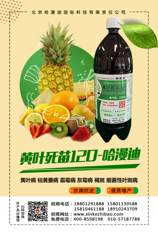 ���ο�ֲ����ףԸһ·�������т����w���������꼪�飡�H�Қg��(l��)��