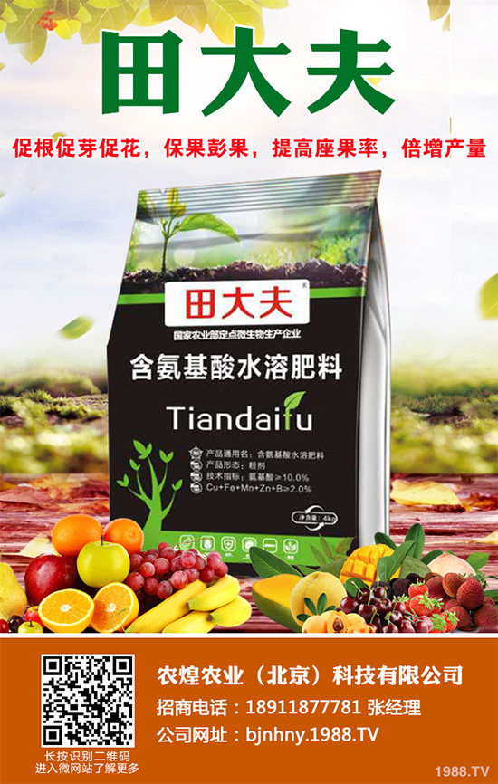 �Nֲʲôˮ����ٍ�X��2020��ˮ���Nֲָ��