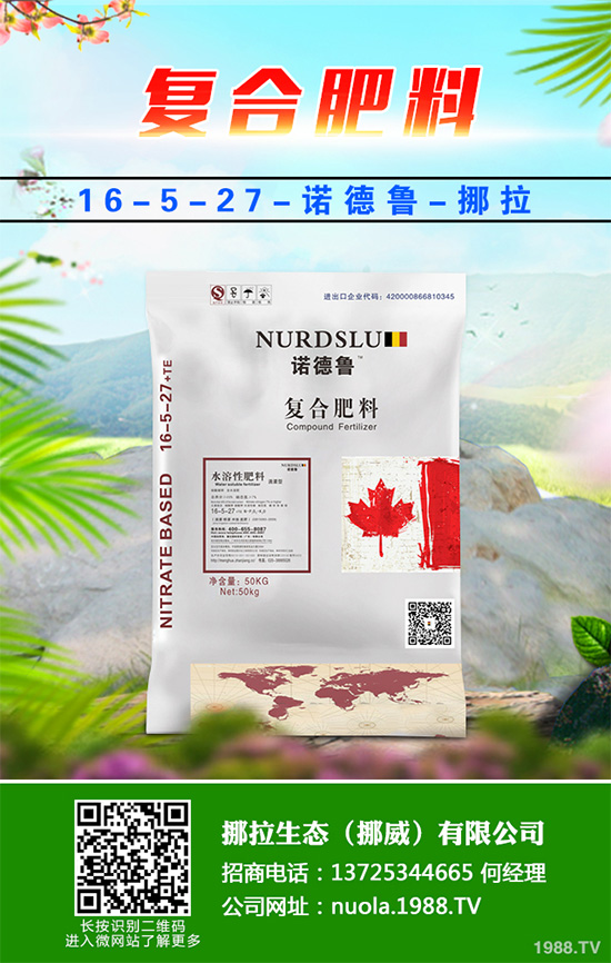 �Nֲʲôˮ����ٍ�X��2020��ˮ���Nֲָ��