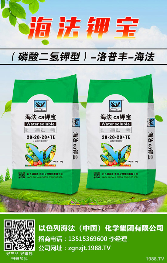 �������ö�������޼�����䶬���޼��ĕr�g��������