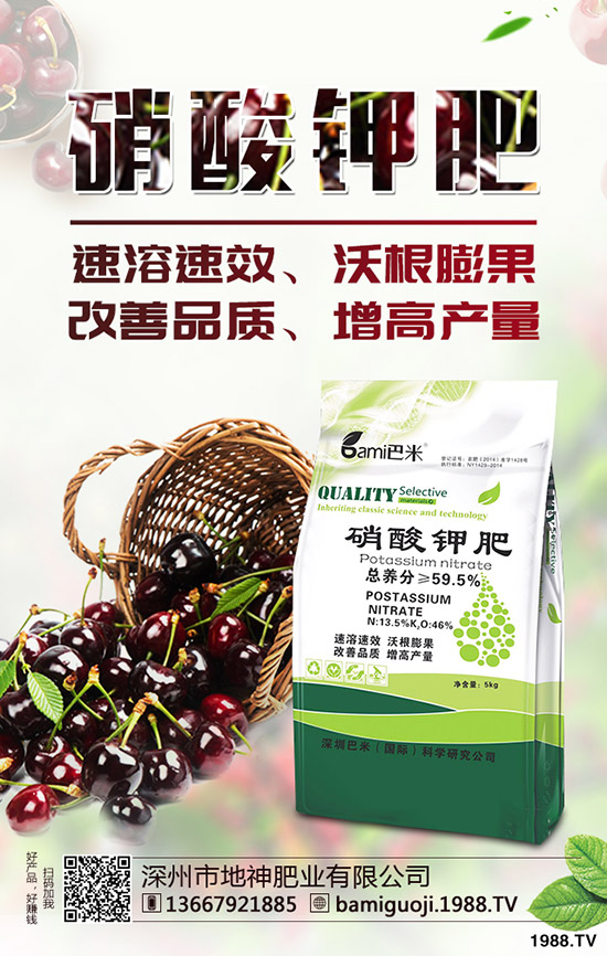 �t������r�g��ʲô�r�����t�����緽������Щ��