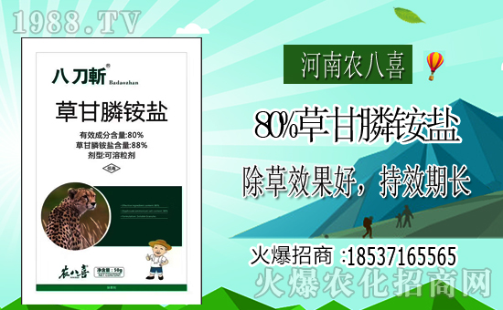 �������r(n��ng)��ϲ��ףȫ���������µ�һ�����_������f�����⣡