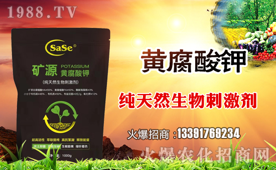 ���_˹���Q(m��o)��ȫ�w�T��ףȫ���������µ�һ����������\(y��n)�����X�]����