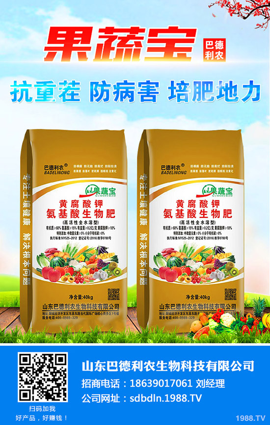     �����[��ηNֲ�������[�����r�g���Nֲ��������Щ��