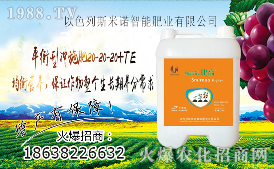 ����ɫ��˹���Z��ףȫ��������������f��������