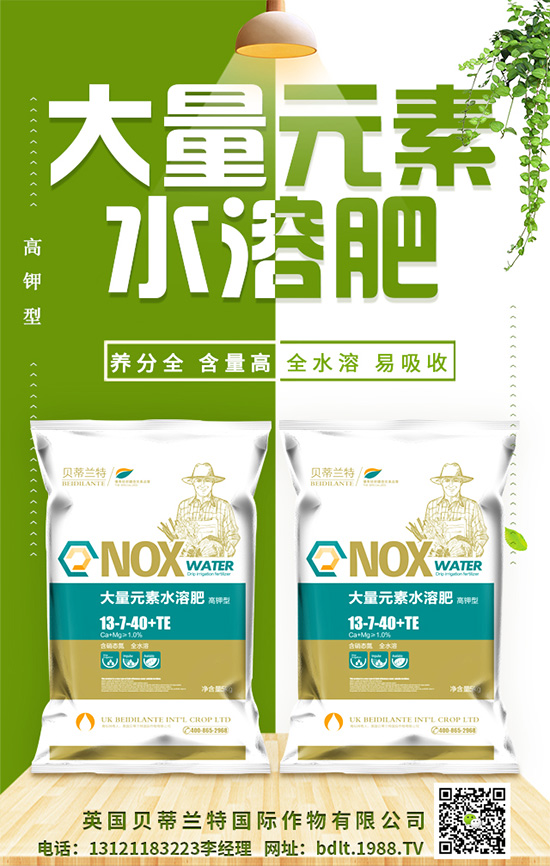 ��Ӣ��ؐ���m�ء�ף���g�gϲϲӭ�������f������ƽ������