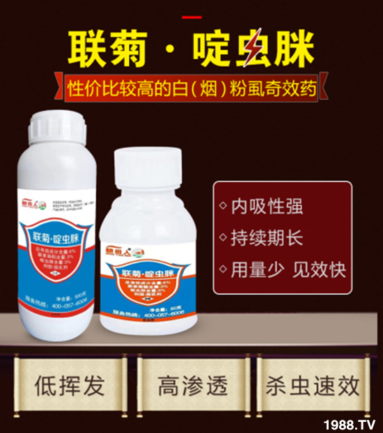 �����ݝ������ףȫ���r�Y���N�����т�2020����옷����ϲ�l(f��)ؔ��