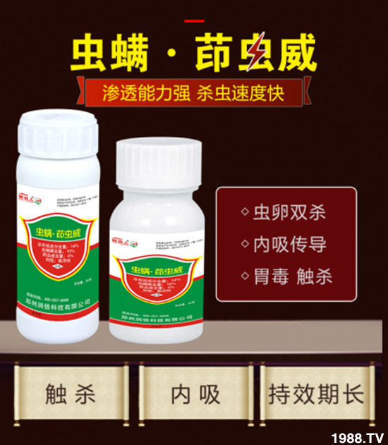 �����ݝ������ףȫ���r�Y���N�����т�2020����옷����ϲ�l(f��)ؔ��