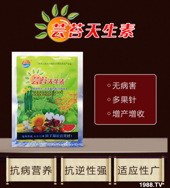 �����ݝ������ףȫ���r�Y���N�����т�2020����옷����ϲ�l(f��)ؔ��