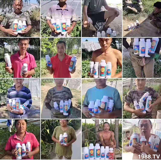 �����ݝ������ףȫ���r�Y���N�����т�2020����옷����ϲ�l(f��)ؔ��