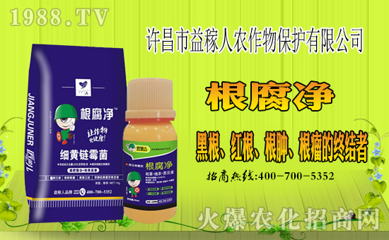 ���S��������ˡ�ף������µ�һ����ؔ(c��i)�\(y��n)�L�L�������d����