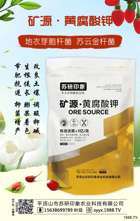 ��ƽ�ɽ���K��ӡ��ף������µ�һ�������w�����������³����f��������