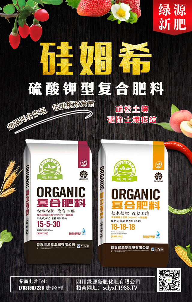 ���GԴ�·ʡ�ףһ·�߁������т����꼪�������\(y��n)�o����