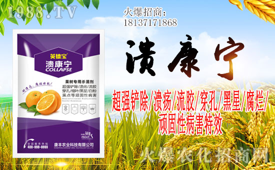 �����Ͽ��S�r(n��ng)�I(y��)��ףһ·�������т����w����������󼪣�