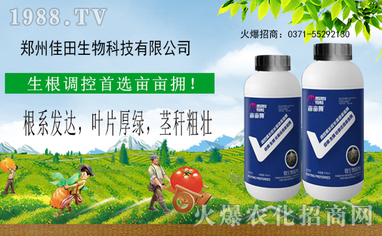     �����ݼ������ףȫ��(gu��)�r(n��ng)�Y��(j��ng)�N��������������´��옷��