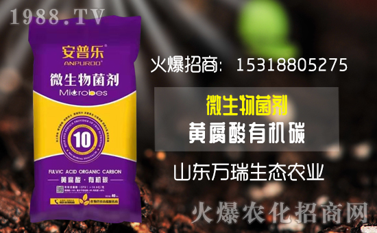     ���f�����B(t��i)��ף���2020�����w�����������d�����H���Ҹ���