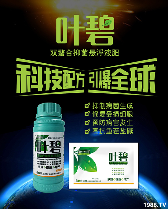     ����˹�����ף���ٸ��R�T�����������������´���2020�´��옷��