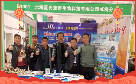 �����������{�á���ף���Ͽ͑������д��\��ؔԴ�L�L���������³���