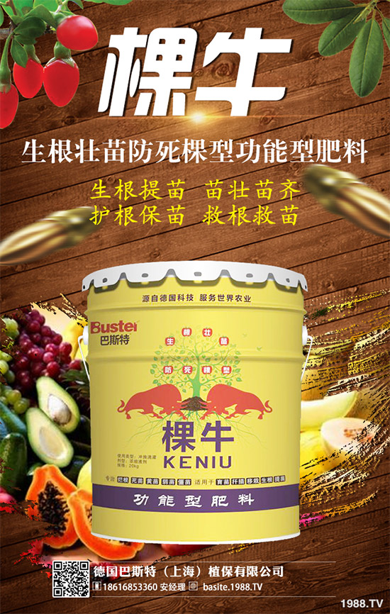 ������˹�ء�ףԸ�����꣺����֪��������ͬ�������h�_�ģ����·Q����