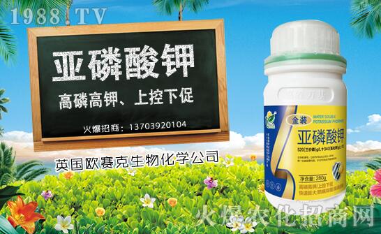 ľ��ʲô�r(sh��)��Nֲ��ľ�ϷNֲ�r(sh��)�g���Nֲ���g(sh��)Ҫ�c(di��n)��