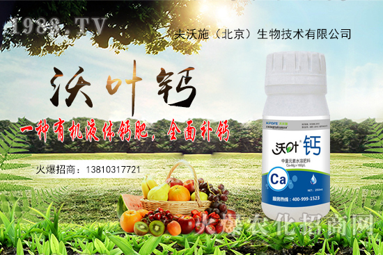 ����߀���ٝq����2020��10��20�ջ����r������