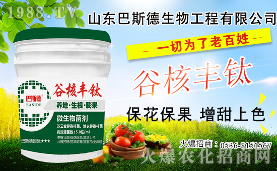 ���䶬���޼�ʲô�r����ѣ������޼���������Щ��