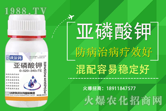 �������Ҫ��������ʲô������֮�g��ʲô�P(gu��n)ע��