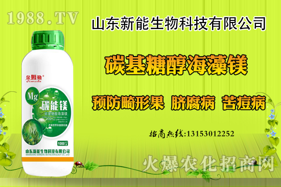 ���������ݮ���ι�ԭ�������F(xi��n)���ι���ô������