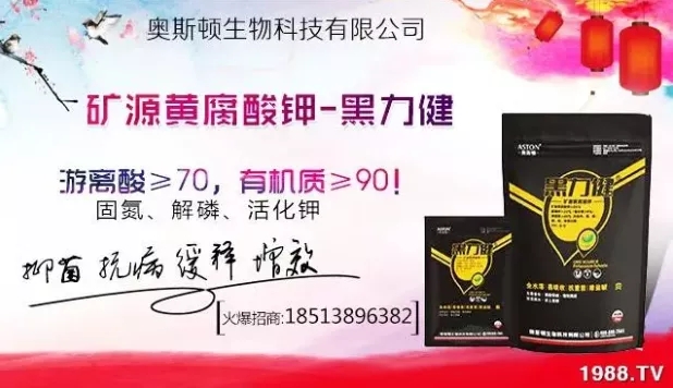 ����ʲô�r�g���N��ע���������Щ�����ش���Nֲ�r�g����