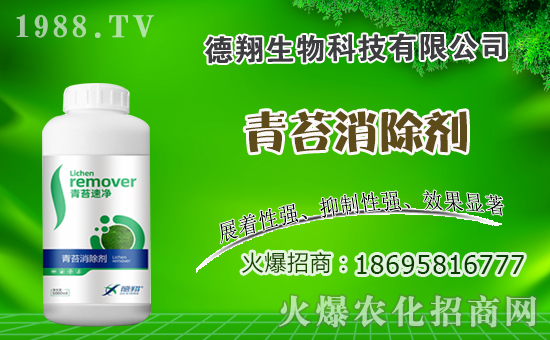 �Ͳ�ʲô�r�g�Nֲ���Ͳ˷Nֲ������ʲô������Щע�������