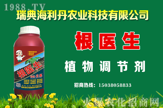 �Ͳ���ô��������߮a(ch��n)�����Ͳ˿���������ʩ����Щ��