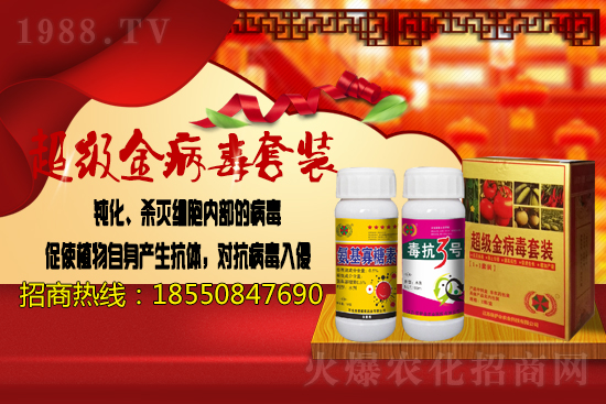 2020.11.17�Շ���(n��i)�󶹃r(ji��)����Ϣ