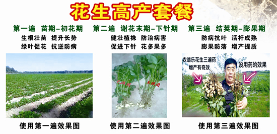 花生高產(chǎn)套餐-農(nóng)翁樂