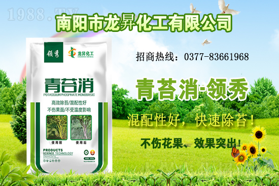 �󶹹����������r����m(x��)�ϝq�����ش󶹃r������