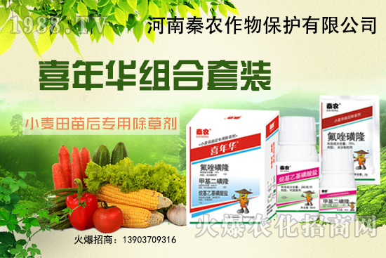 С����ʲôҪ��ǰ�������xʲô���݄�Ч������