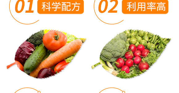 ɵ�~�~�^�}-ɵ�~�~��-���S_06