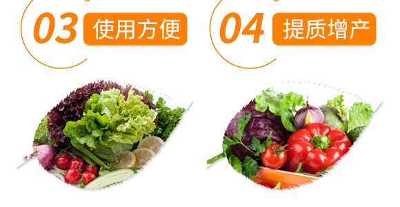 ��Ȼ�ЙC��ጵ���-���ܵ�-�t��_07