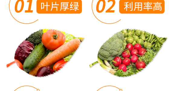 50g��������-��ʩ��_06