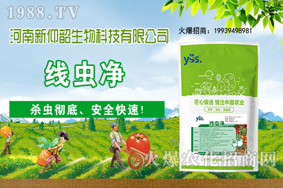 ����ֲ��ԓ��ô��ˮ������ֲ�ˮҪע����Щ���}�أ�