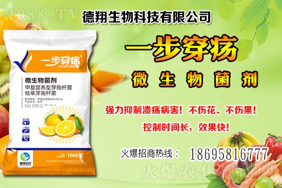 ���a(ch��n)�󶹃r(ji��)��(w��n)���е���2020-12-21�����������ֵ؅^(q��)��������