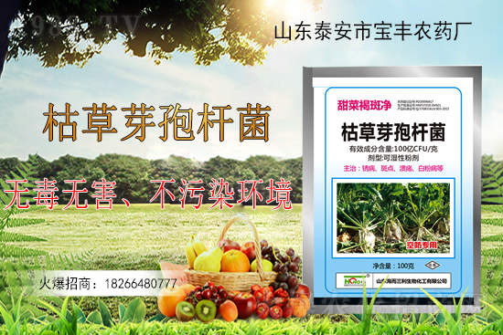 �ݲ�ѿ�ߗU���ܽ�Q������Щ���}���ݲ�ѿ�ߗU�����r(n��ng)�����ϵđ�(y��ng)����