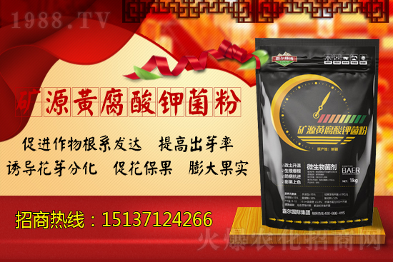 �VԴ�S�����