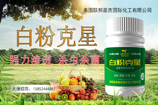 �����׷۲�����y�Է����������׷۲������ˎ����Ч������