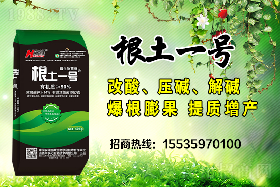     ΢��������е�΢������ʲô������΢�����������θ��������ģ�